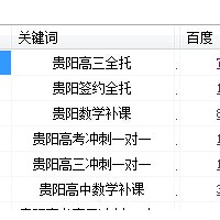 新站如何快速稳定地提高关键词的排名？扬扬案例分享