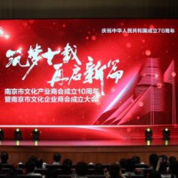 热烈庆祝南京市文化企业商会隆重成立